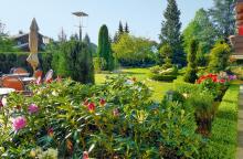 Garten-Sommer-3