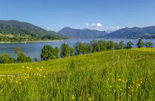 TTGmundKaltenbrunnWallberg